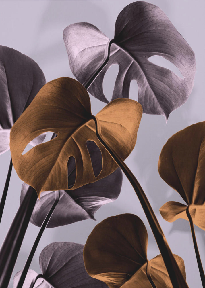 Monstera Purple 01 | Canvas