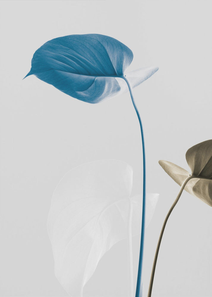 Monstera Creative 19 | Canvas