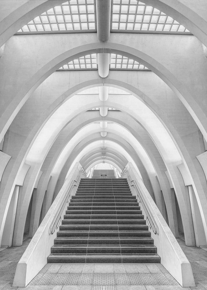 Calatrava lines | Canvas