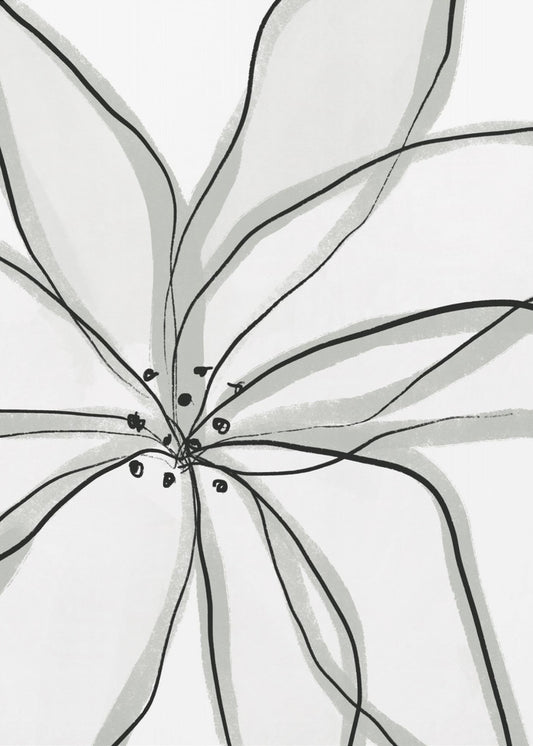 Delicate Flower Petals | Canvas