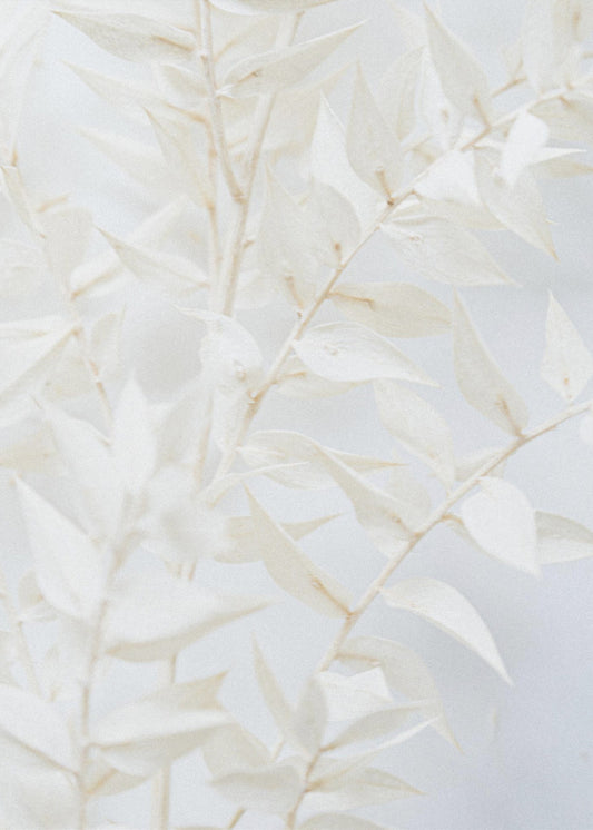 Ethereal Leaves | Poster