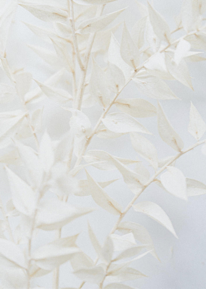 Ethereal Leaves | Canvas