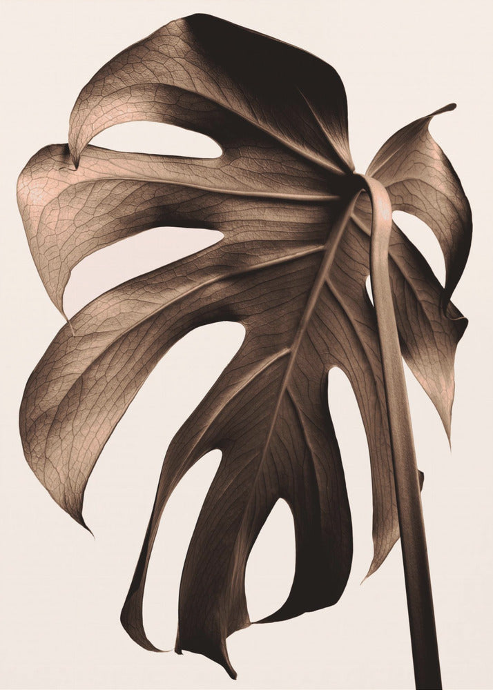 Monstera Gold | Canvas