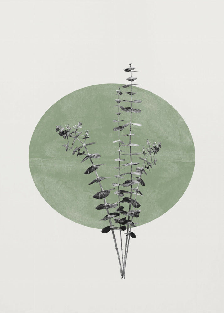 Nature's Echo | Canvas