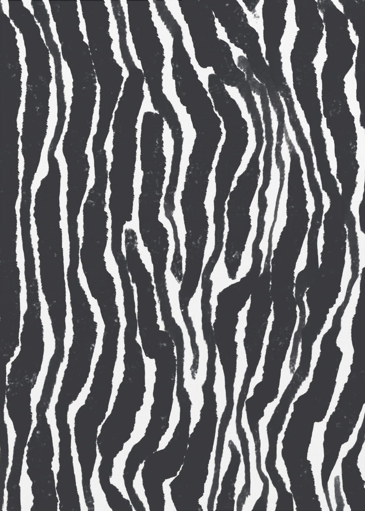 Zebra Rhythm | Poster