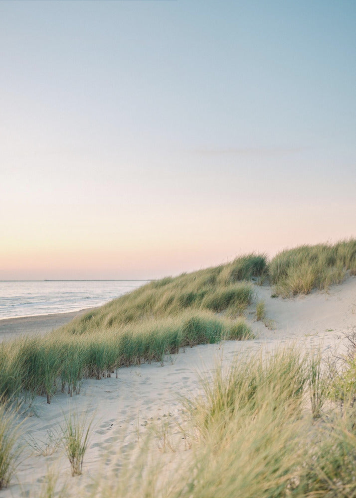 Dutch Dunes | Poster