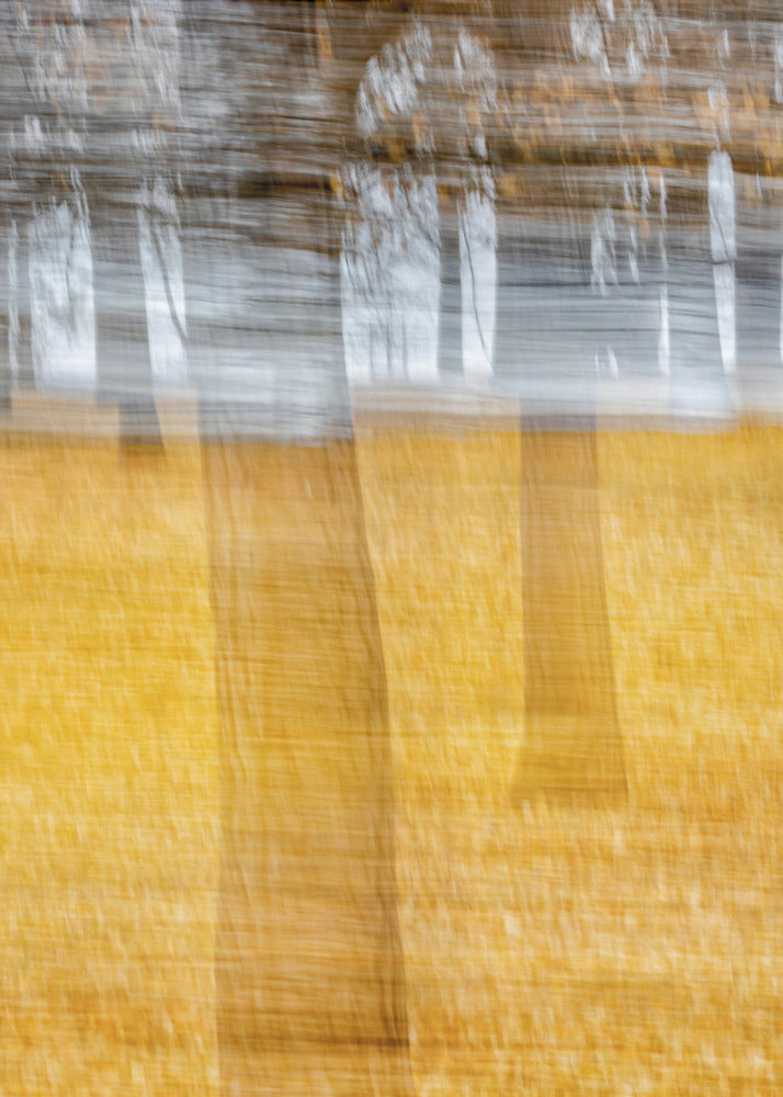 黄叶西风 | Canvas