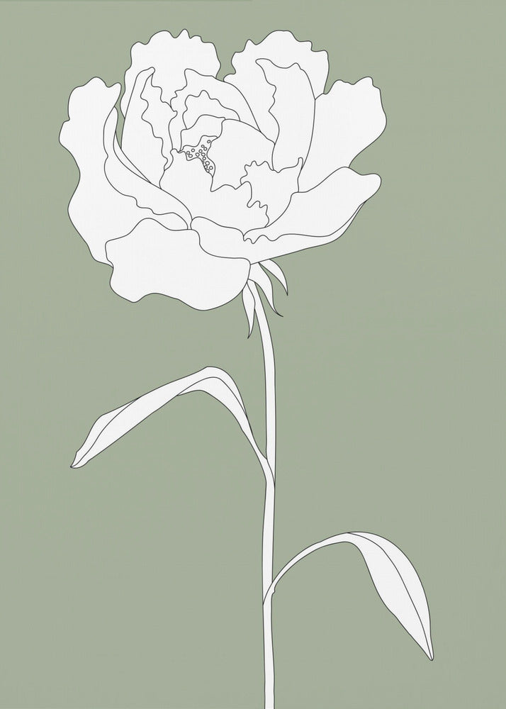 Rose in Green | Canvas