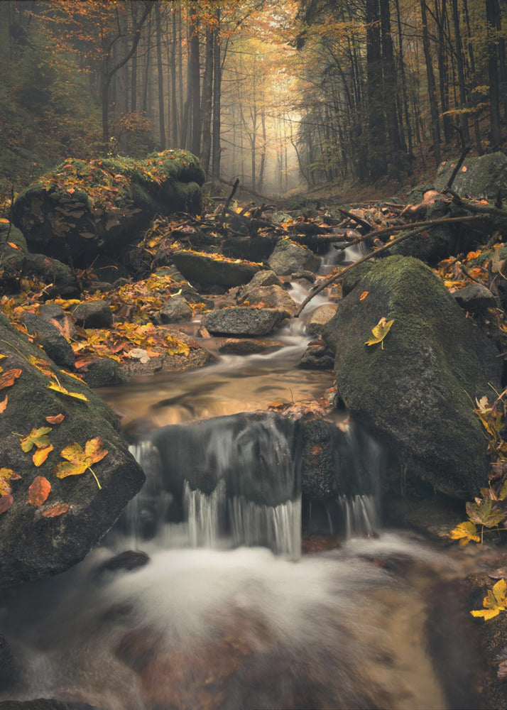 Dreamy Autumn | Poster