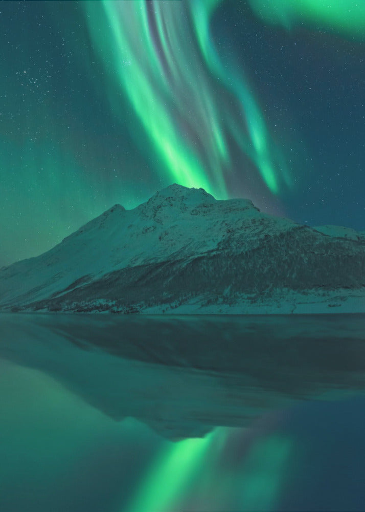 Reflecting Fairy | Poster