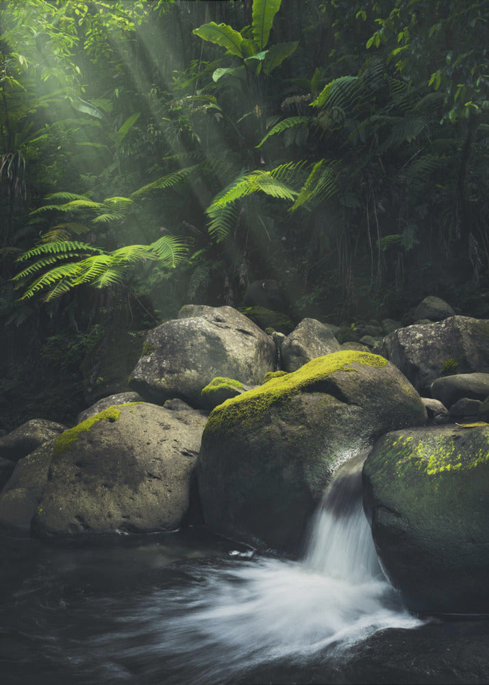 Mystic Jungle | Poster