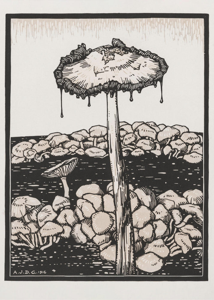Dripping Mushroom 1916 | Poster
