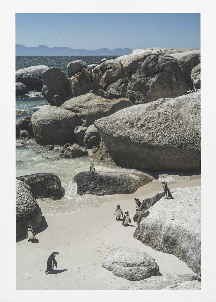 Penguins' Coastal Stroll | Poster