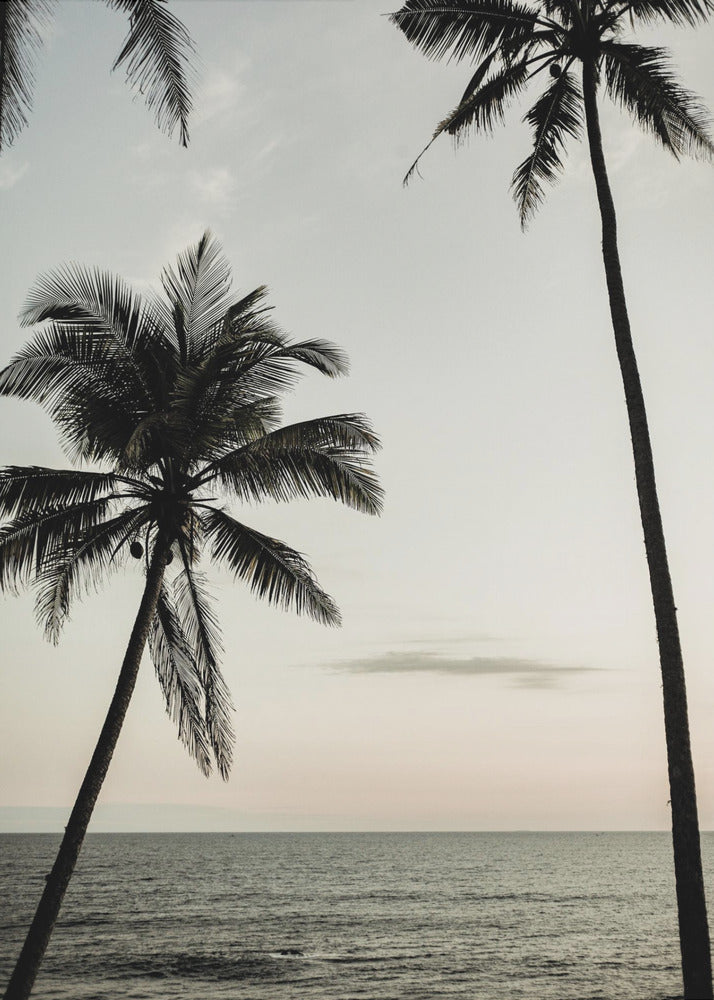 Tropical Dusk Sky | Poster