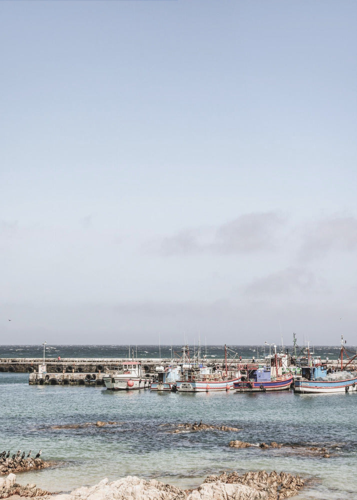 Harbor Serenity | Poster