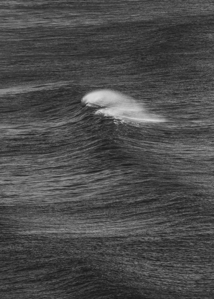 Whispering Waves | Canvas