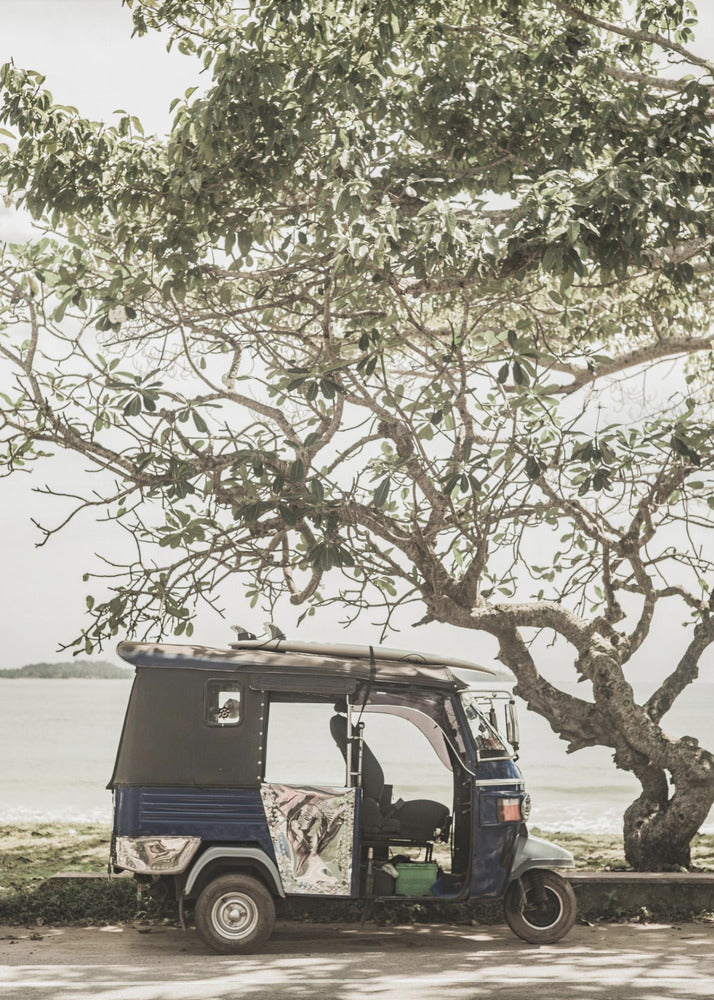 Tuk Tuk Tour | Canvas