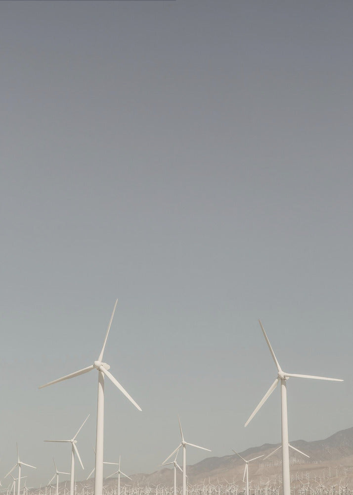 Windmill Symphony | Canvas