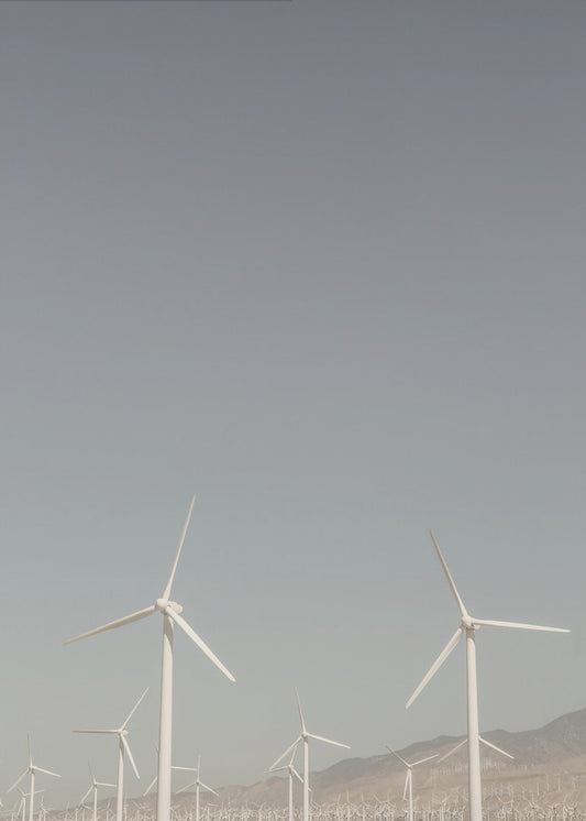 Windmill Symphony | Canvas