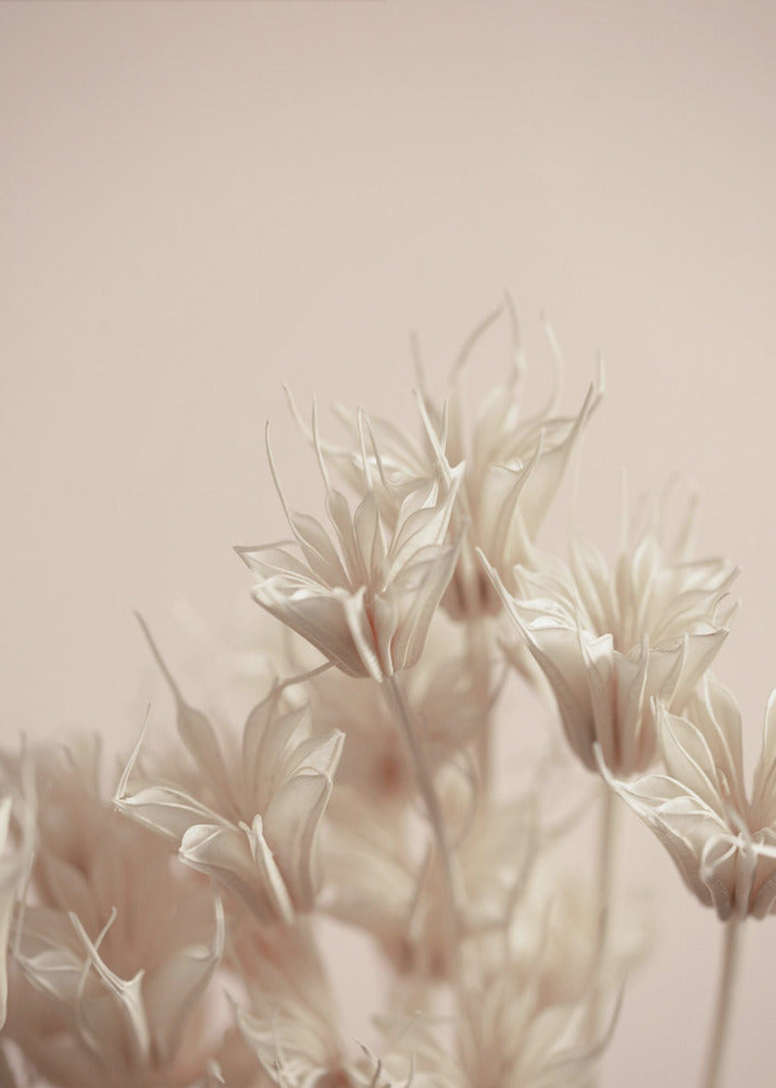 Last Summer 17 | Poster