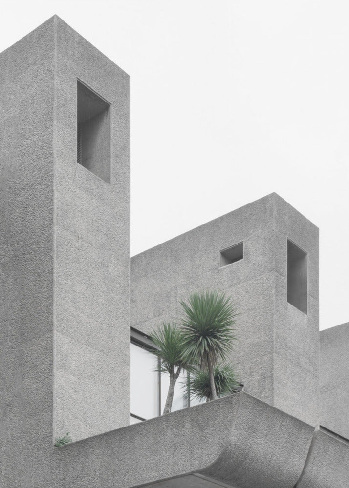 Lonely Palms No2 | Poster