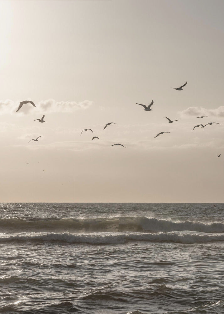 Birds and the Sea 3 | Poster