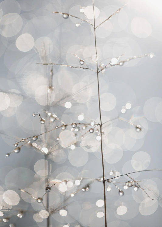 Natural Sparkle | Poster