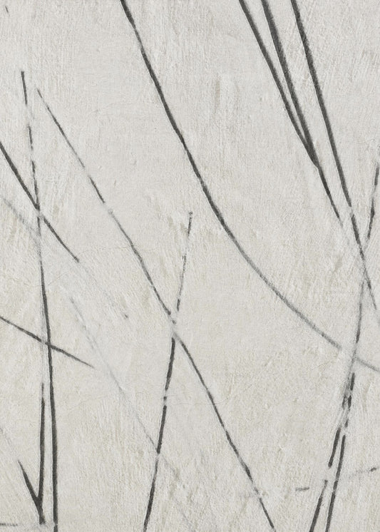 Scratched #3 | Canvas