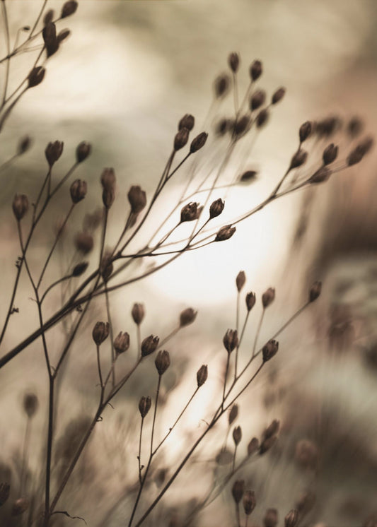 Autumn Lights | Poster