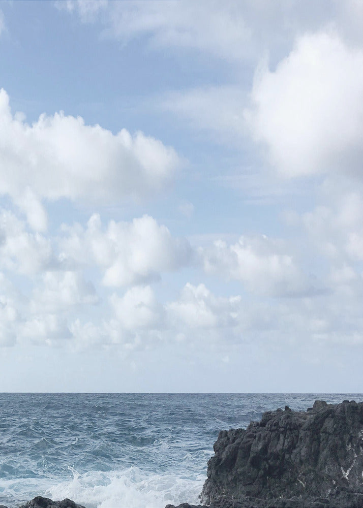 Coastal Living II | Poster