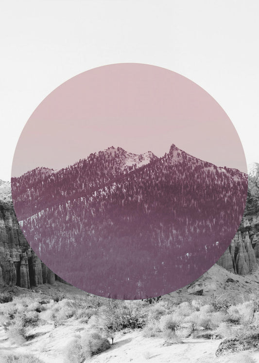 Shapes In Nature I | Canvas