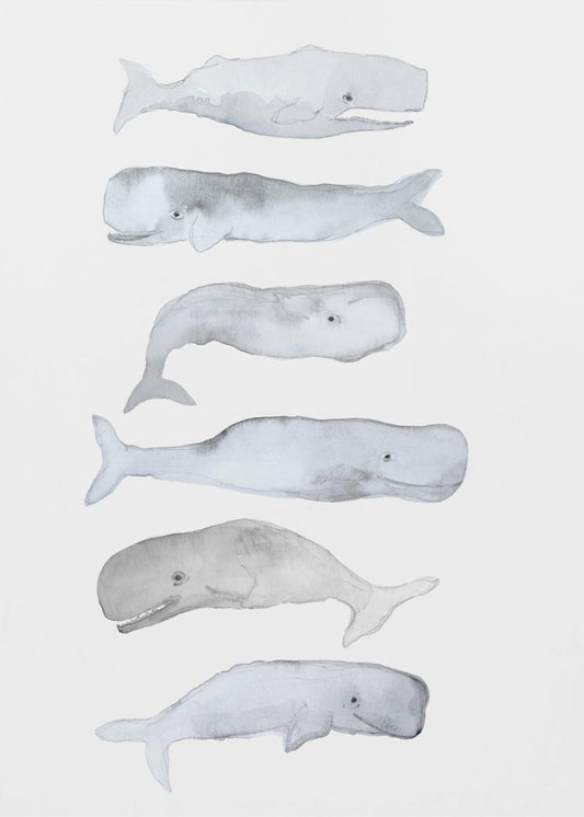 Whale Art | Canvas