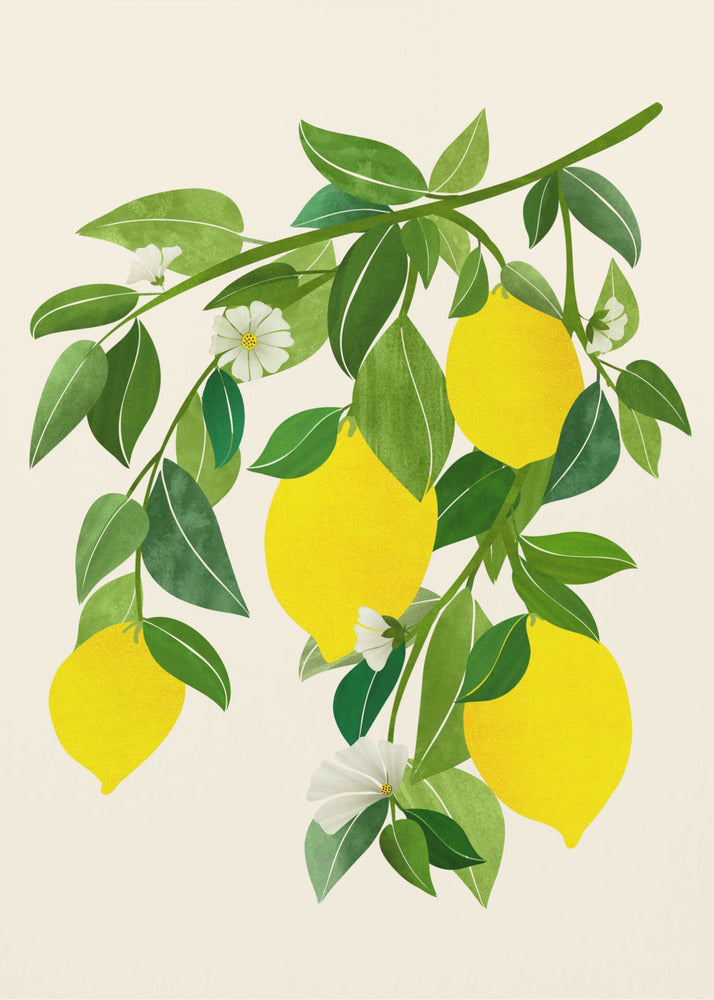 Sunny Lemons 4x5 | Poster