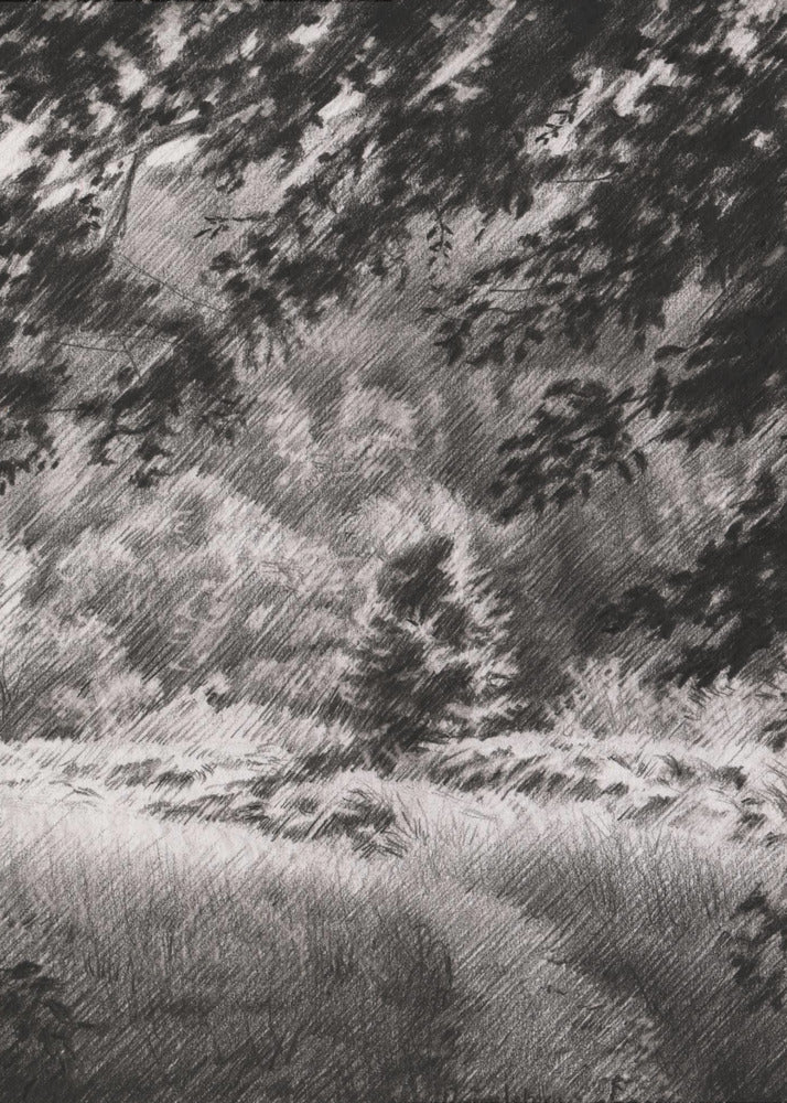 Duivelsberg - 25-12-23 | Canvas