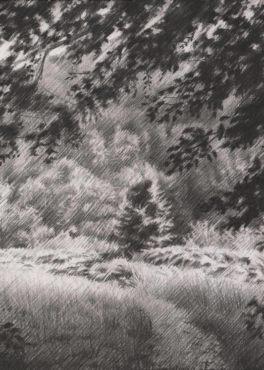 Duivelsberg - 25-12-23 | Canvas