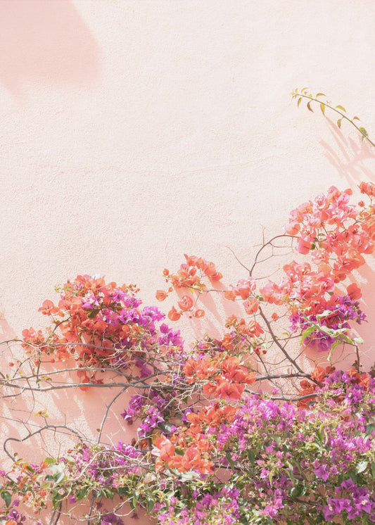 Pink Summer | Poster