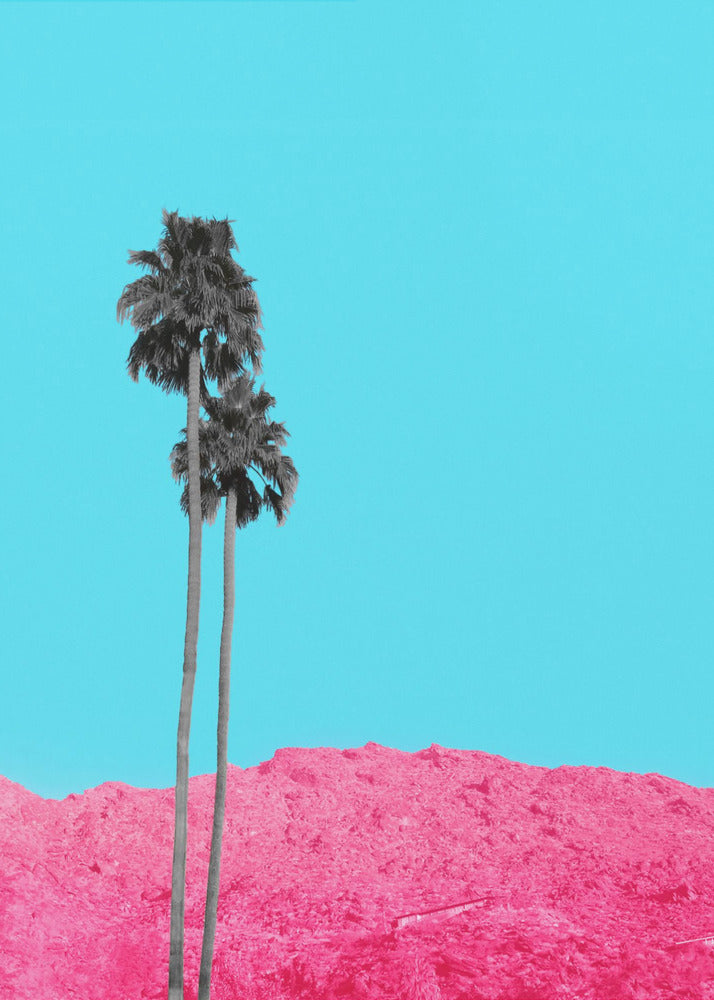 No Gray Dayz | Poster