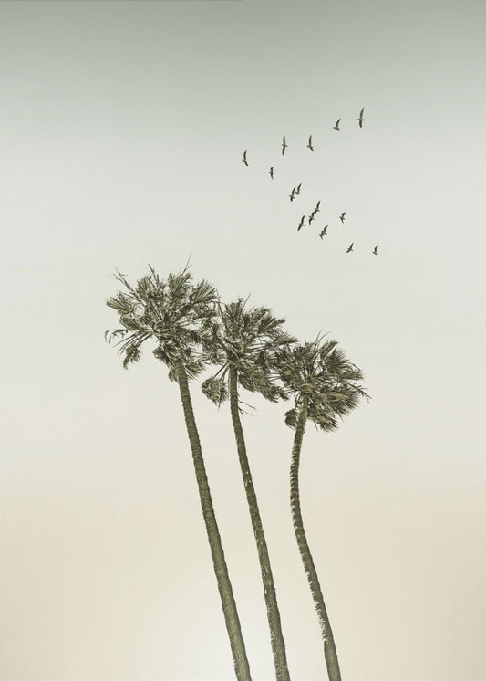 Vintage minimalist palm trees & sunset | Poster