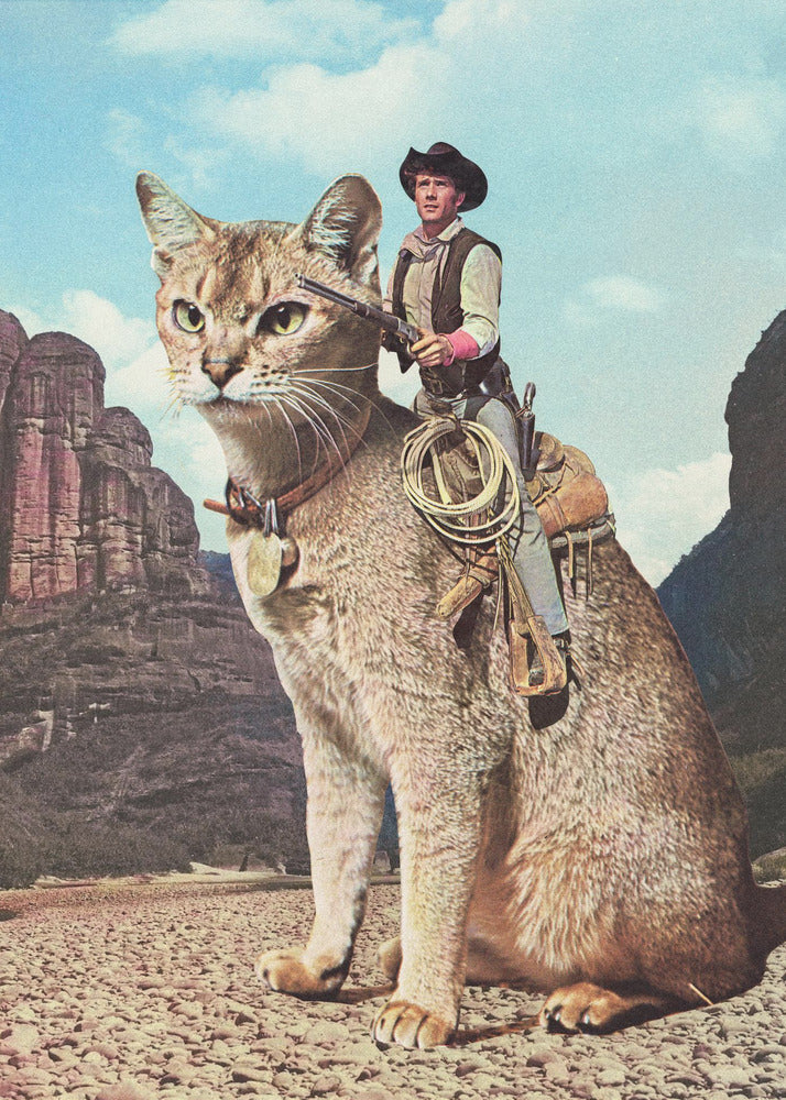 Cat Lone Ranger | Poster