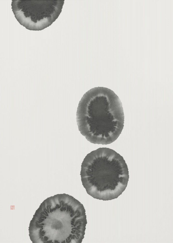 Atoll Ilands | Poster