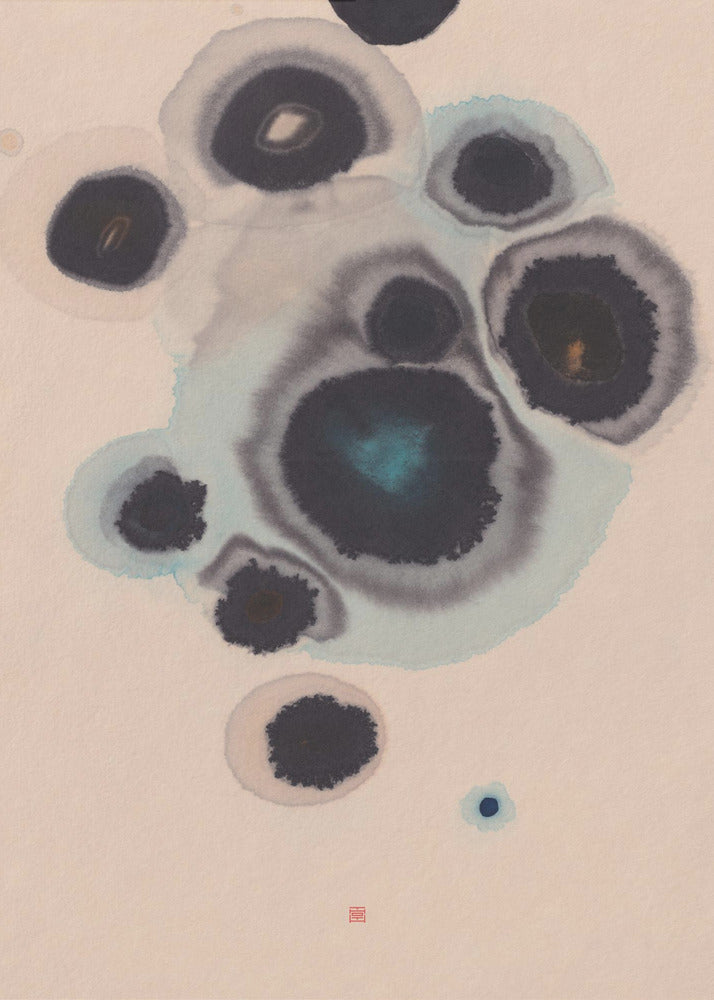 Study N°10 | Living Stones | Poster