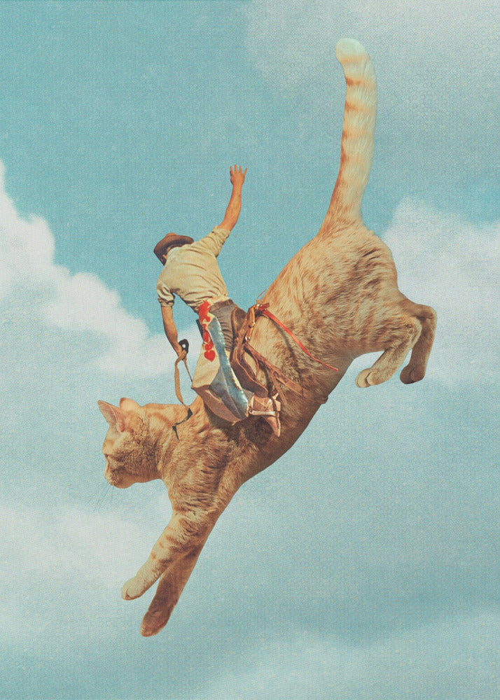 Meehaw Rodio Cat | Poster