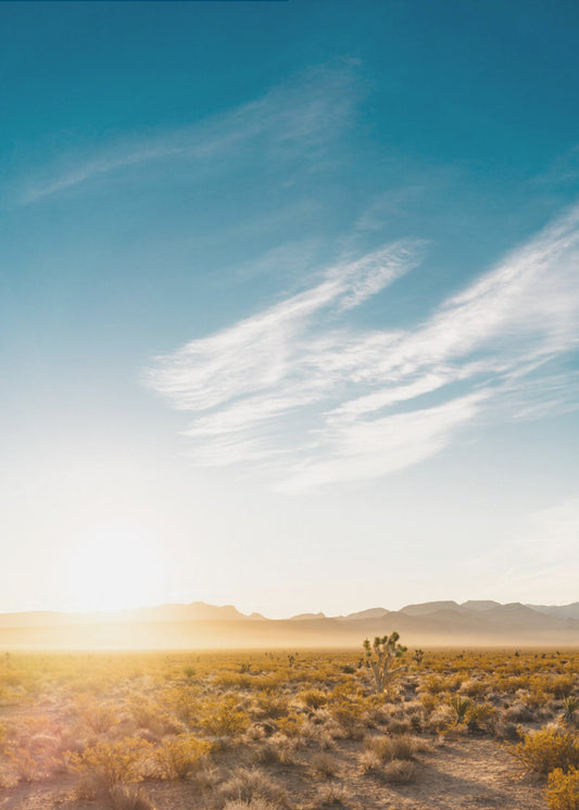 Nevada Desert Sunrise | Poster