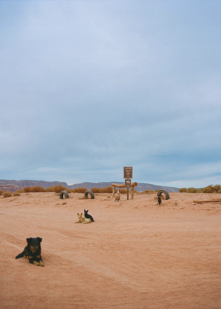 Monument Valley VIII | Canvas