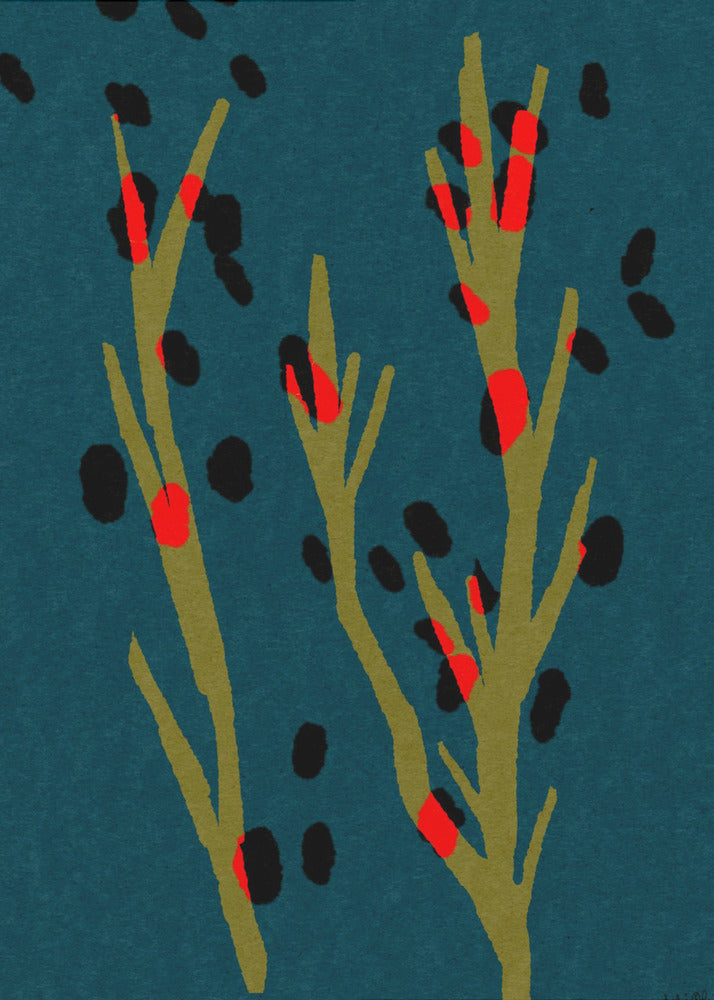 Botanic D | Canvas