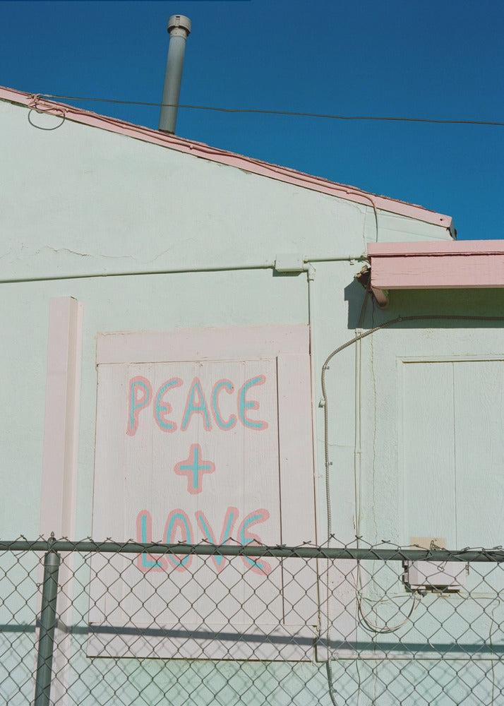 Joshua Tree Peace | Canvas