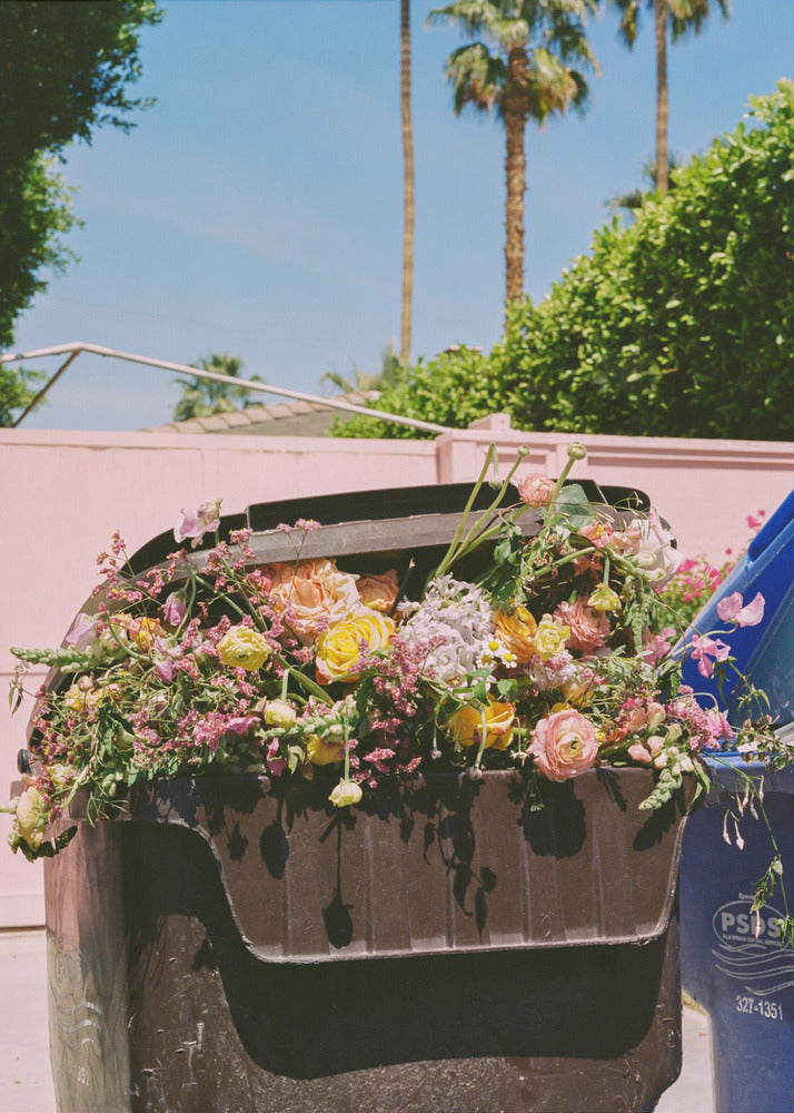 Palm Springs Curb | Canvas