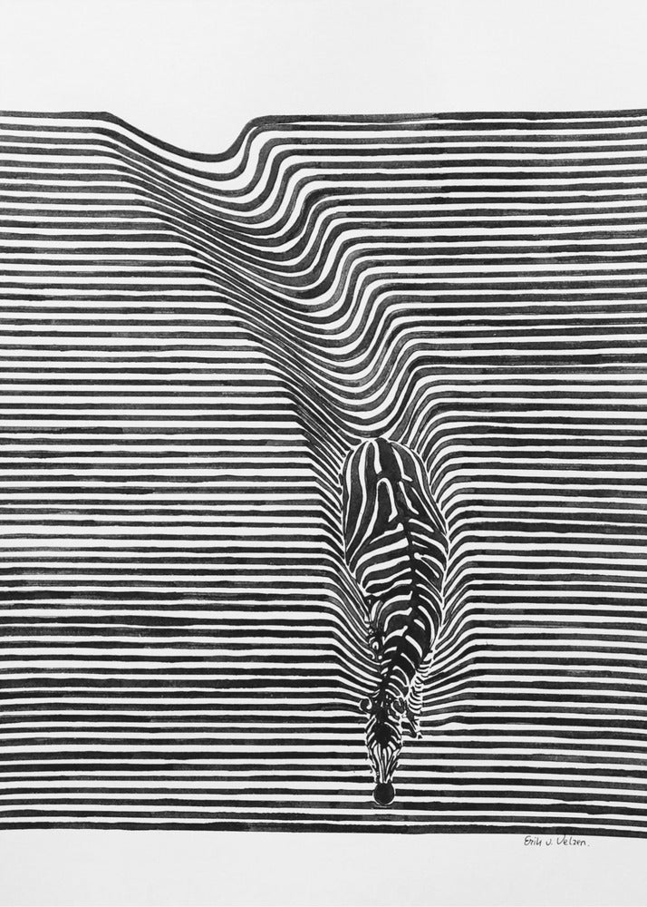 Zebra in het veld | Canvas