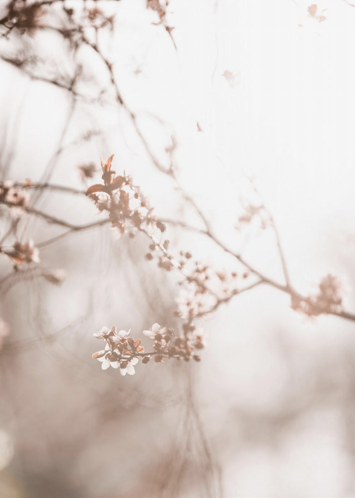 Last Spring 3 | Poster