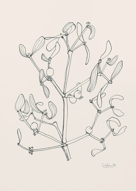 Misteltoe ink drawing | Poster